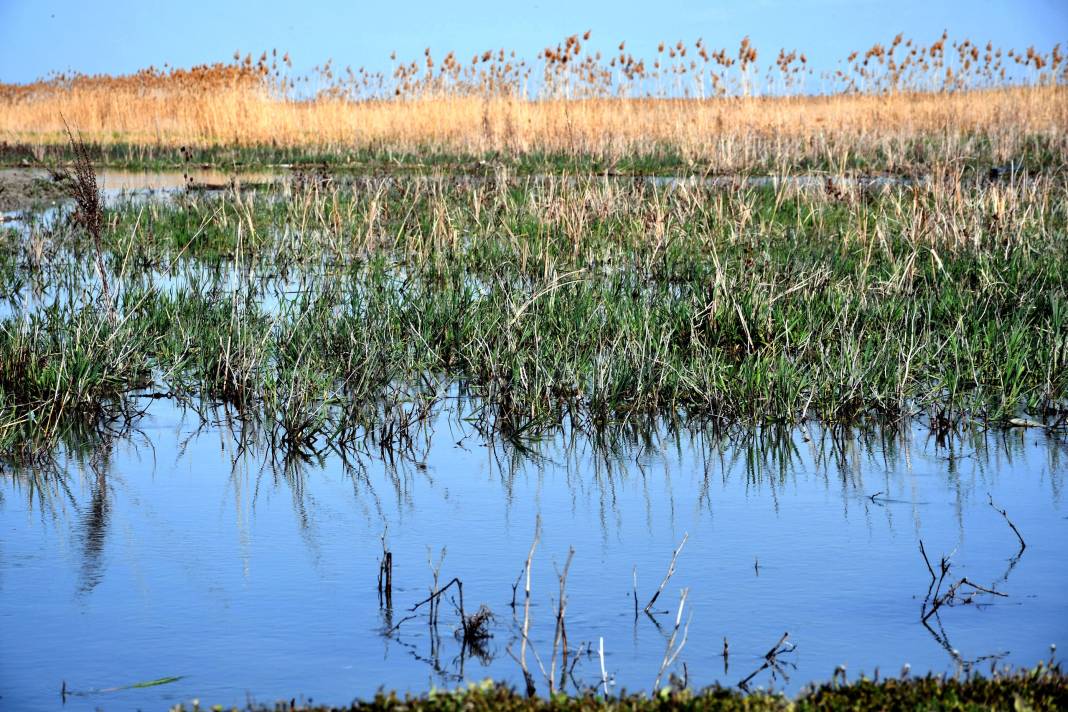 Nasreddin Hoca’nın ya tutarsa dediği Konya’daki göl 8 yıl aradan sonra su tuttu 5